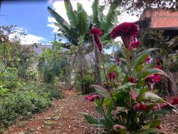 Casa para Venda em Pouso Alegre - 3