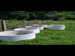 Chácara para Venda em Pouso Alegre - 2