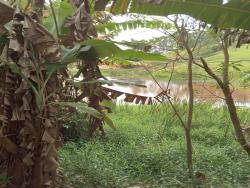 #1837 - Terreno para Venda em Careaçu - MG - 2
