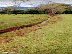 #1857 - Terreno Rural para Venda em Pouso Alegre - MG - 2
