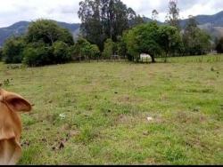 #1857 - Terreno Rural para Venda em Pouso Alegre - MG - 3