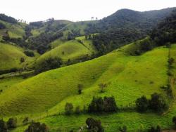Terreno Rural para Venda em Pouso Alegre - 4
