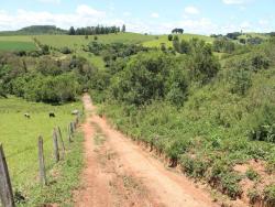 Chácara para Venda em Pouso Alegre - 4