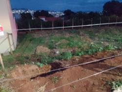 Terreno para Venda em Pouso Alegre - 3