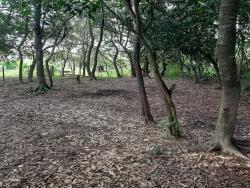 Chácara para Venda em São Sebastião da Bela Vista - 5