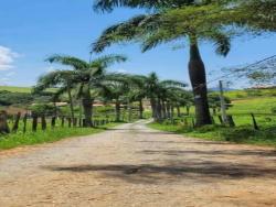 Chácara para Venda em Pouso Alegre - 2