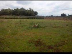 #2049 - Terreno Rural para Venda em Pouso Alegre - MG - 1