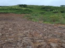 #2050 - Terreno Rural para Venda em Senador José Bento - MG - 3