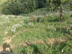 #2112 - Terreno Rural para Venda em Congonhal - MG - 2