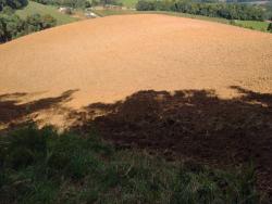 #2112 - Terreno Rural para Venda em Congonhal - MG - 3