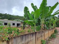 #2302 - Chácara para Venda em Silvianópolis - MG - 2