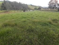 #2317 - Chácara para Venda em Silvianópolis - MG - 1