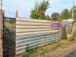 #2440 - Chácara para Venda em Pouso Alegre - MG - 1