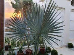 Casa para Venda em Pouso Alegre - 2