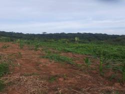 #2629 - Terreno para Venda em Pouso Alegre - MG - 2