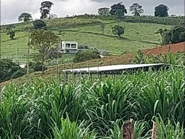 #2475 - Chácara para Venda em Borda da Mata - MG - 3