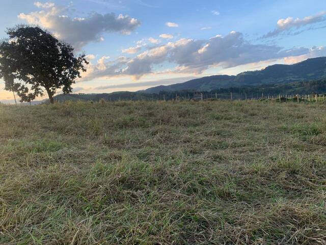 #2480 - Chácara para Venda em Congonhal - MG - 2