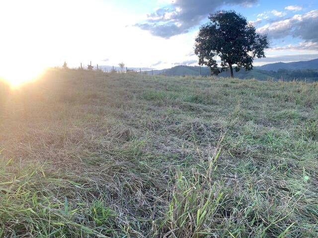 #2480 - Chácara para Venda em Congonhal - MG - 3