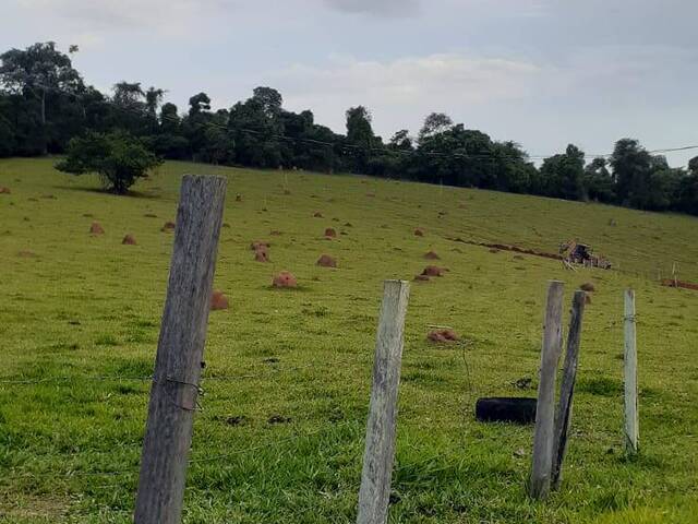 #2494 - Chácara para Venda em Pouso Alegre - MG - 2