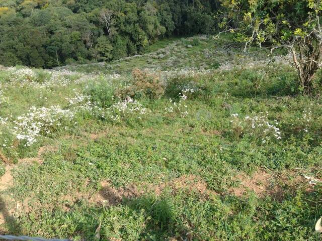 #2500 - Terreno para Venda em Congonhal - MG - 1