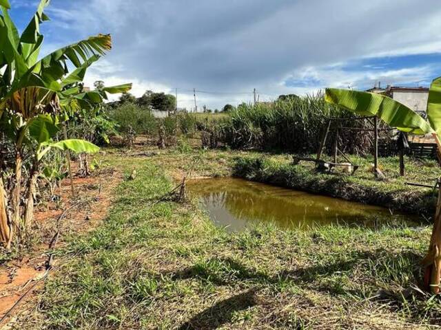 Chácara para Venda em Pouso Alegre - 5
