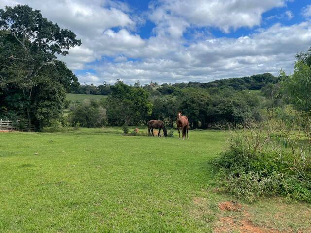 #2575 - Sítio para Venda em Pouso Alegre - MG - 2