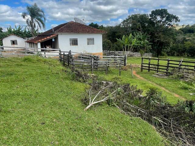 #2575 - Sítio para Venda em Pouso Alegre - MG - 3