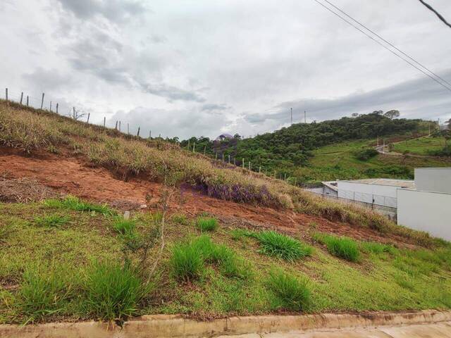 #2599 - Área para Venda em Pouso Alegre - MG - 1