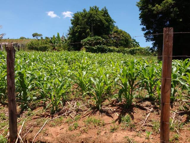#2918 - Área para Venda em São Sebastião da Bela Vista - MG - 3