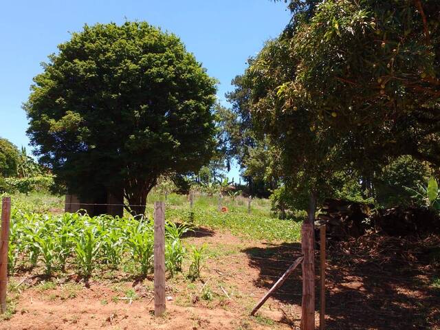 #2918 - Área para Venda em São Sebastião da Bela Vista - MG - 2