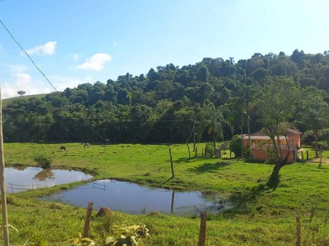 #2614 - Chácara para Venda em Pouso Alegre - MG - 3