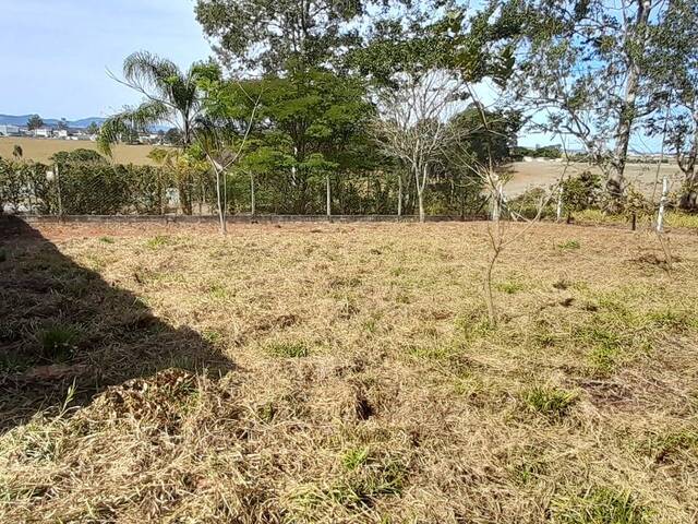 #2631 - Área para Venda em Pouso Alegre - MG - 3