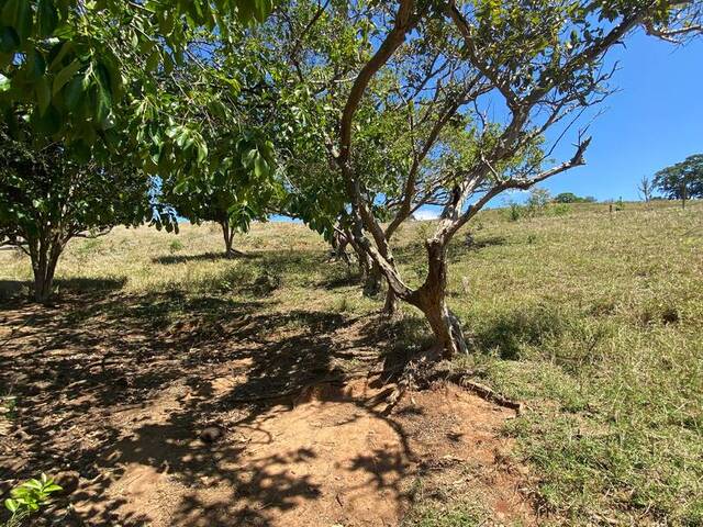 #2729 - Terreno Rural para Venda em Pouso Alegre - MG - 2