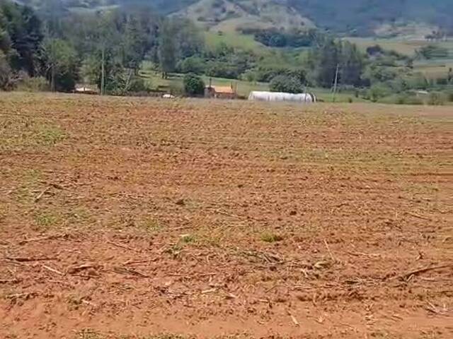 #2813 - Terreno para Venda em Pouso Alegre - MG - 3