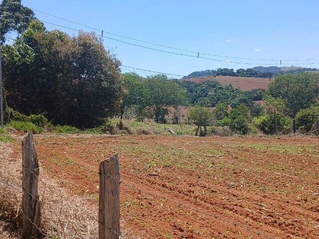 Terreno para Venda em Pouso Alegre - 4