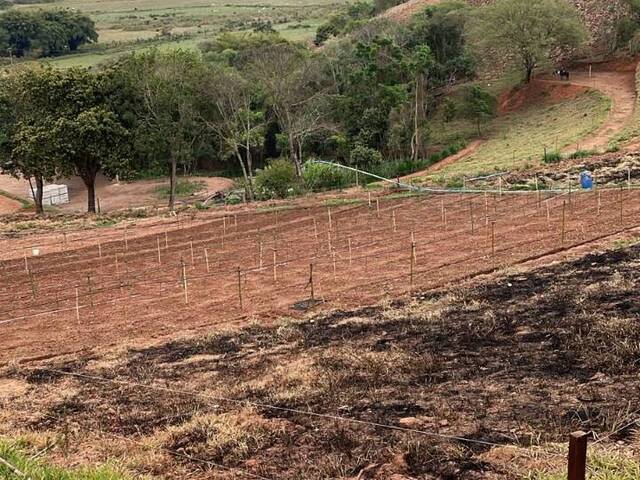 #2814 - Área para Venda em Estiva - MG - 3