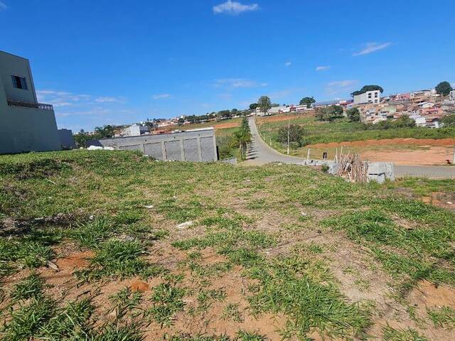 #2818 - Área para Venda em Pouso Alegre - MG - 3