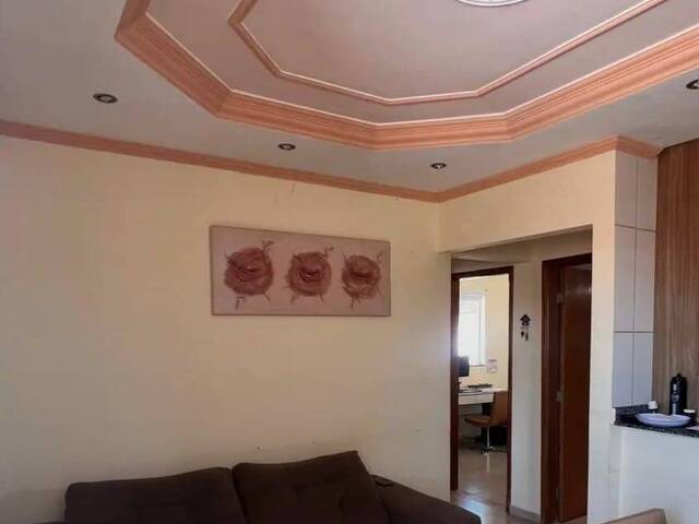 Venda em São Carlos - Pouso Alegre