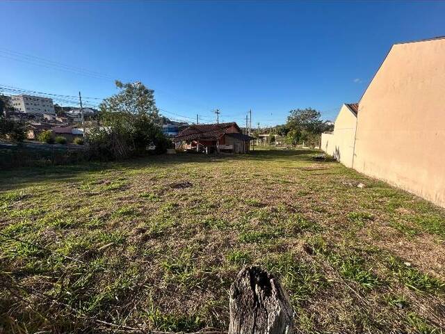 Área para Venda em Pouso Alegre - 4