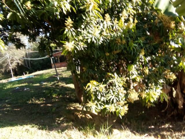 Casa para Venda em Pouso Alegre - 5