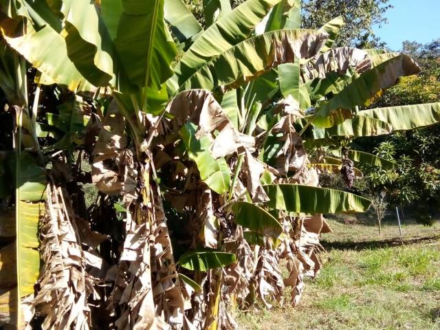 Casa para Venda em Pouso Alegre - 4