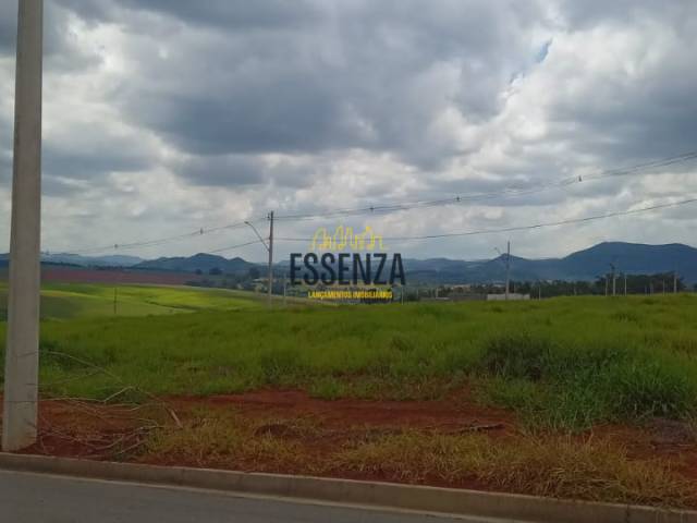 #2830 - Área para Venda em Pouso Alegre - MG - 2