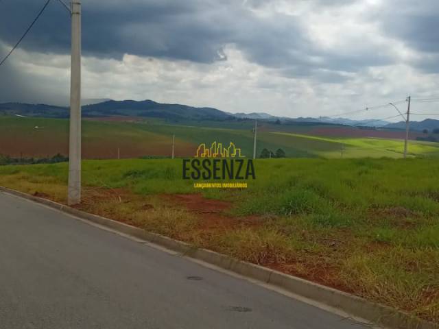 #2830 - Área para Venda em Pouso Alegre - MG - 3