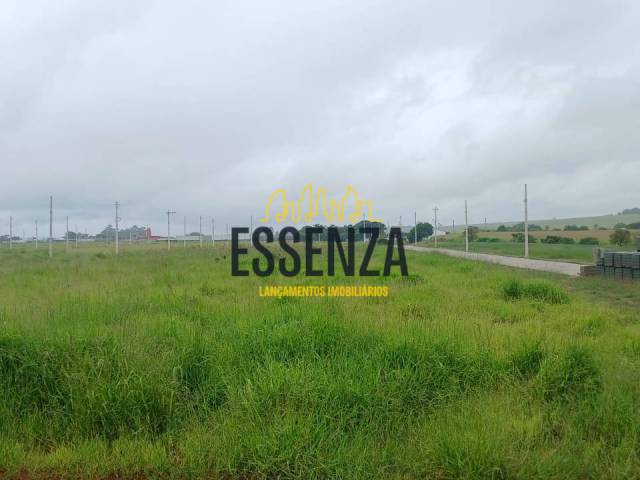 #2890 - Área para Venda em Pouso Alegre - MG