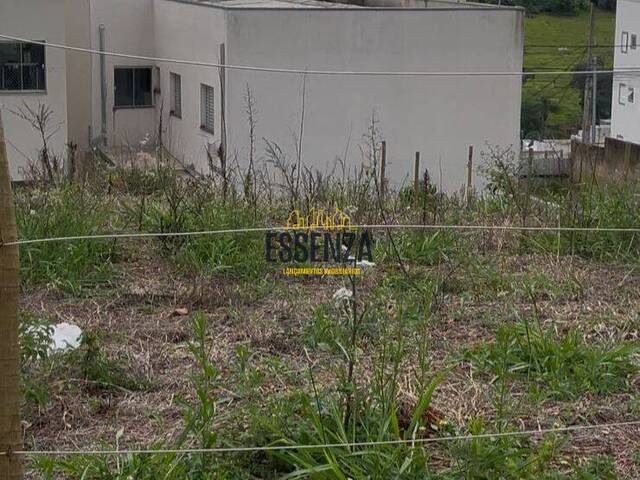 #2944 - Área para Venda em Pouso Alegre - MG