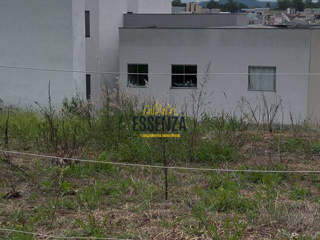 #2944 - Área para Venda em Pouso Alegre - MG