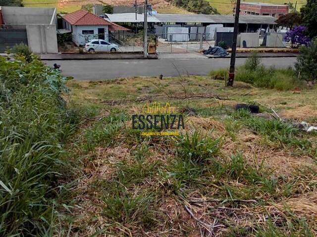 Área para Venda em Pouso Alegre - 5