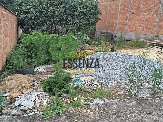 #3068 - Área para Venda em Pouso Alegre - MG - 1