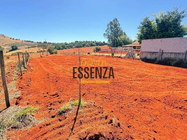 #3077 - Terreno para Venda em Pouso Alegre - MG - 3