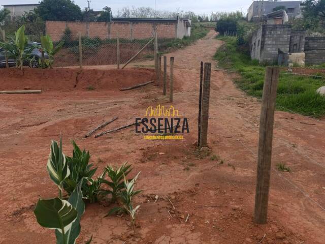 Área para Venda em Pouso Alegre - 4